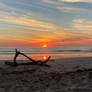 Meet your Posher, Helena